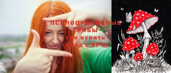 прущий лед Арсеньев